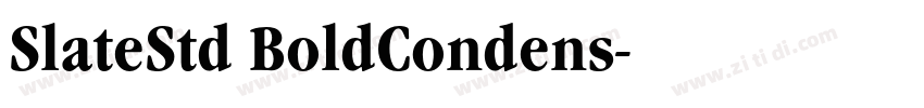 SlateStd BoldCondens字体转换